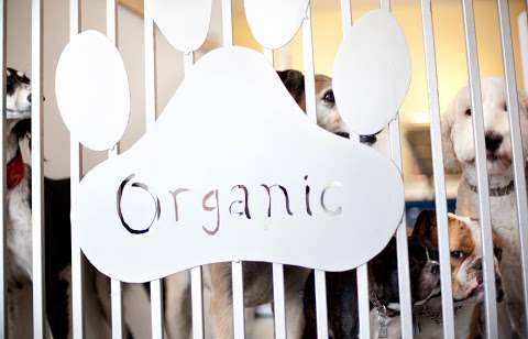 Muttley Crue Organics